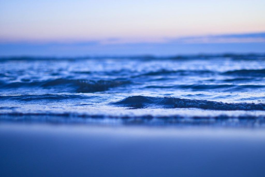 Duiker verkent onderwaterwereld bij de beste duiklocaties in Nederland met zeekreeften en zeedieren