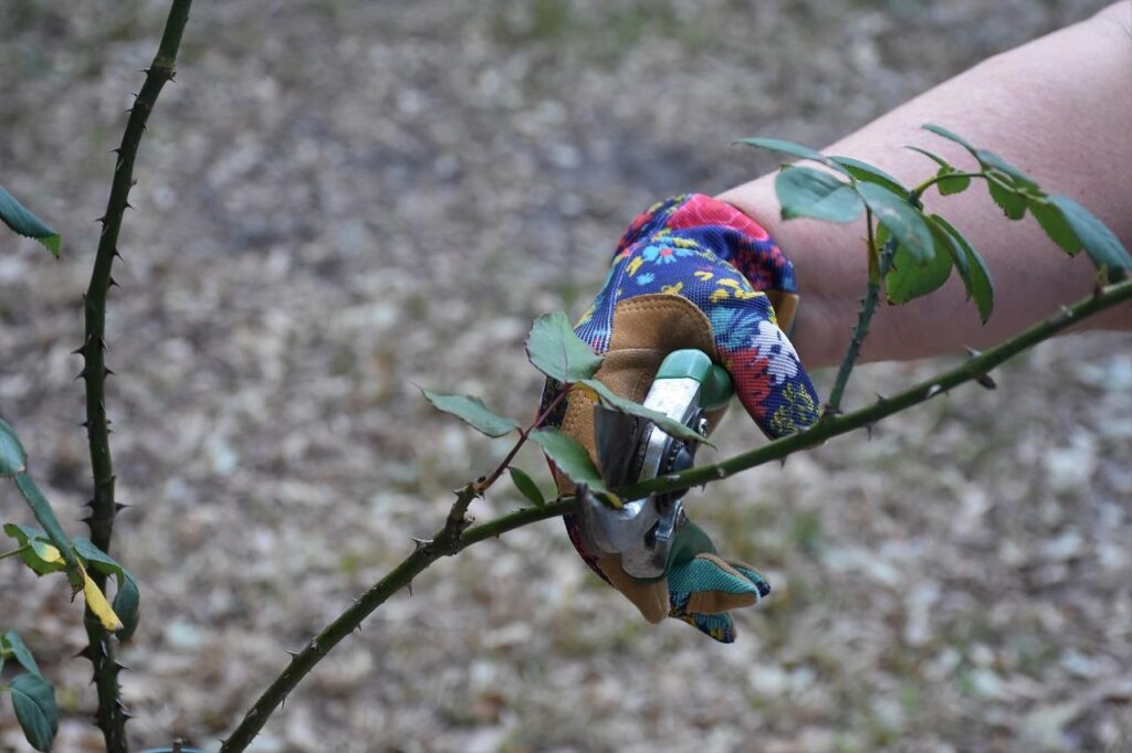 Gids voor onderhoud, styling en groen: checklist voor huis en tuin met praktische tips voor seizoensplanning en beplanting